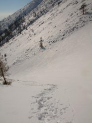 Ripido canalone a quota 2080 m