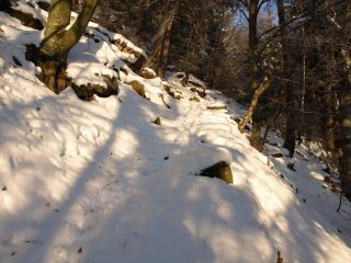 Il primo tratto del sentiero è nel bosco (1300 m)