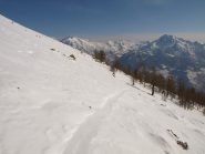 Il limite del bosco a quota 2050 m