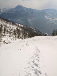 Traccia di salita a quota 1848 m presso Nantre