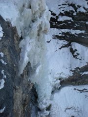 particolare petali e freestanding primo tiro