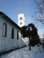 Chiesetta di Miralta con palma