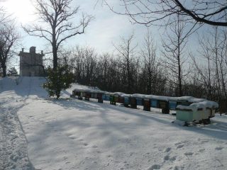 Da Moncrivello, sulla dorsale