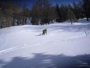l'uscita dal meraviglioso bosco....