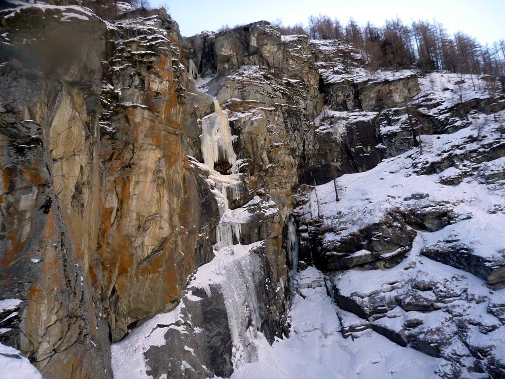 la bella colta di Cohesion 0