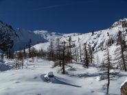 parte superiore dopo il bosco