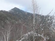 Verso Arbella