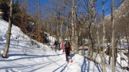 salendo nel bosco sopra Carnino Superiore (18-2-2012)