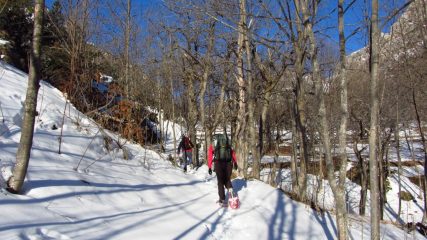 salendo nel bosco sopra Carnino Superiore (18-2-2012)