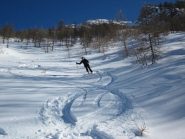 tratti di bella farina