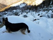 I due cani che mi hanno raggiunto...