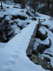 Ponte su un ruscello