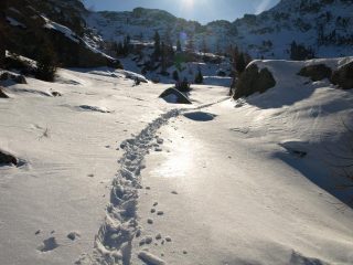 La traccia dello sciatore che mi ha superato