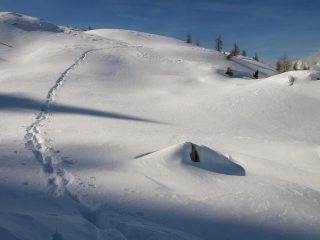 La mia traccia mentre tento di raggiungere il sentiero 2