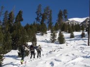 Comincia la traccia in salita nel bosco