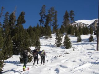 Comincia la traccia in salita nel bosco