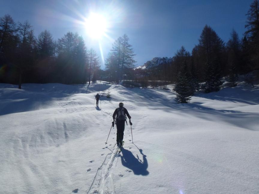 Bellissimo ambiente nell'ultimo tratto di bosco 