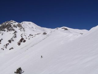 quasi arrivati
