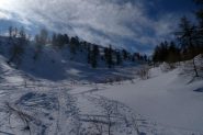 Uscita dal bosco
