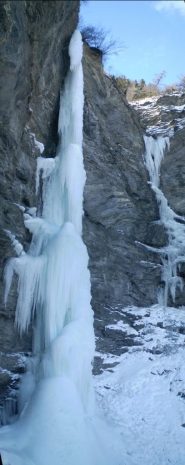 il profilo della canna