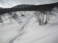 finito il boschismo si ripella