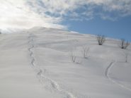 curve sulla dorsale 2