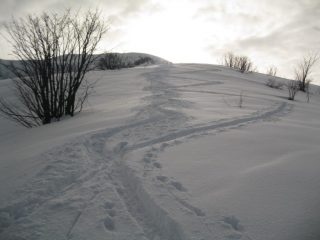 curve sulla dorsale 1