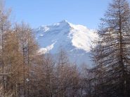 vista sul rocciamelone