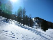 farina sotto al colle  