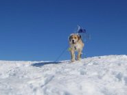 Rocky sulla prima punta da Sci Alpinista