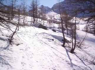 ultimo tratto nel bosco