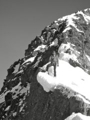 cresta sommitale