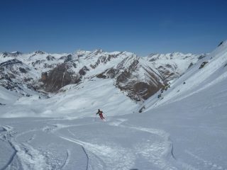 Ancora bella farina