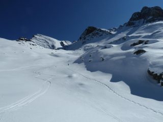 Neve umida