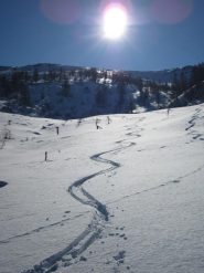 l'unico tratto bello...
