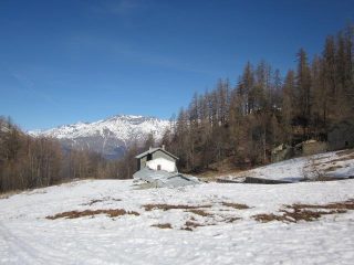 parte bassa...ormai escono i prati...