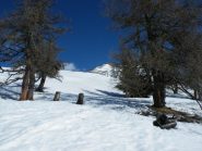 salendo sguardo alla punta