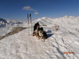 la punta solo per loro.... e per me!