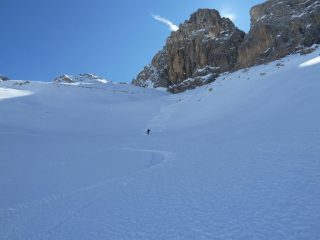 Ancora bella farina