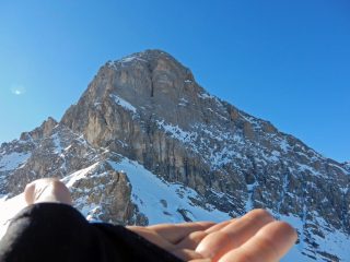 Cogli la prima Meja