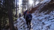 salendo nel bosco