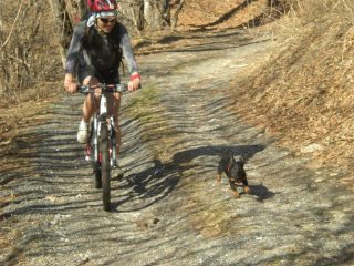 La discesa a piedi e' molto faticosa . 