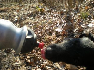 Un po' di ristoro...