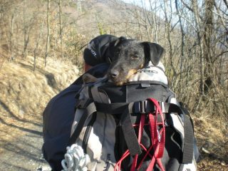 Il resto della discesa lo faccio in 1° classe....