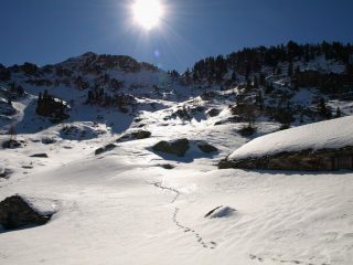 Ridisceso all'Alpe Carisey