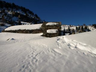 Alpe Carisey a quota 1934 m