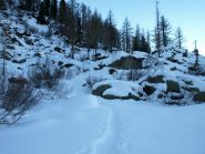 Sentiero ancora battuto a quota 1765 m