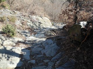 bella mulattiera di discesa