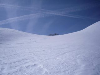 qualche bella curva di discesa...