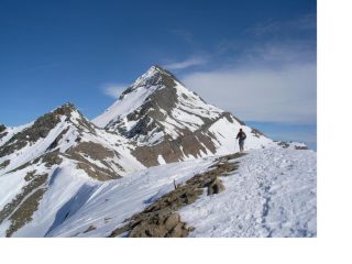 IN DIRITTURA D'ARRIVO..
